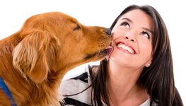 Why-Do-Dogs-Lick-You-and-Why-You-Should-Stop-Them-From-Licking.jpg