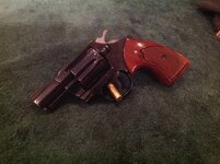IMG_0486.jpg