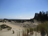 dunes2.jpg