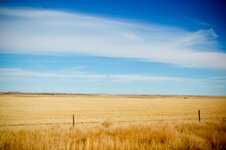Saskatchewan-Prairie-Fields-1.jpg