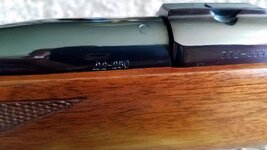 20170608_134145.jpg