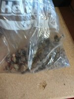 20170720_165440_HDR.jpg