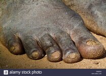 african-barefoot-black-closeup-details-dirty-feet-grimy-nails-near-D9MX22.jpg