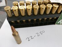 22-250-Remington-Ammo.jpg