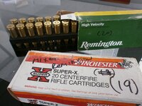 22-250-Remington-Ammunition.jpg
