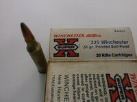 225-Winchester-Ammo.jpg