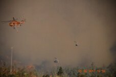 DSC_0021[1].JPG