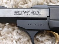 Browning Buckmark 005.JPG
