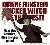 diane_frankenstein_wicked_witch_of_the_west_copy_by_jbeverlygreene-d63t1q2.jpg