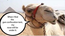 camels-nose-under-the-tent.jpg