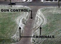 gun control & criminals.jpg