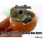 easter bunny was born.jpg