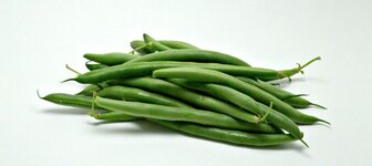 green-beans-fi.jpg