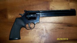 handguns 004.JPG