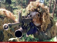 Sniper-Squirrel-30002_zps8327f3e5.jpg