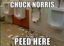 chcuck norris peed here.JPG