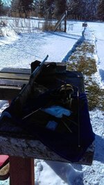 100 yard backyard winter gun range.jpg