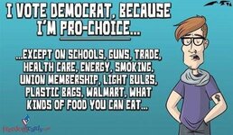 i_vote_democrat_because_im_pro_choice.jpg