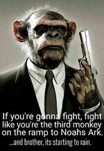 Fight like the third monkey.jpg