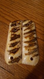 20180408_190634.jpg