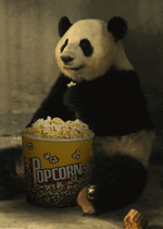 Panda eating popcorn.gif