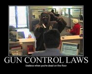 gun control laws.jpg