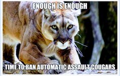 Assault Cougars.jpg