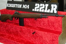 22-caliber-m14-Kingston-1-of-12.jpg