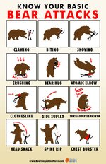 bear-attacks.jpg