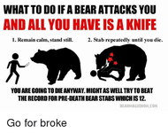 what-to-doifa-bear-attacks-you-and-all-you-haveisaknife-19507532.png