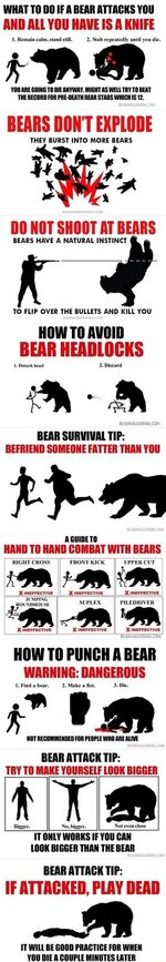 what-to-do-if-abear-attacks-you-funny-tree-large3.jpg