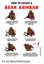 how-to-escape-a-bear-armbar-1-the-bear-is-21023469.png