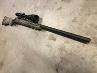 IMG_0164.jpeg