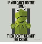 if-you-cant-do-the-time-then-dont-kermit-the-3471891.png