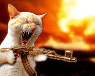 Shooter Cat.gif