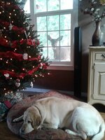 20171203_112646.jpg