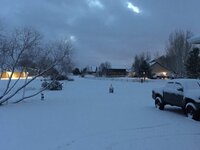 73329952-F06D-494D-8EC2-C72C1BB79758.jpeg