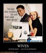 demotivational-posters-wives.jpg