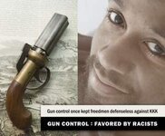 Gun control favored by racists.jpg