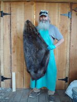 63# Beaver pelt.jpg