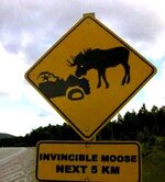invincible-moose.jpg