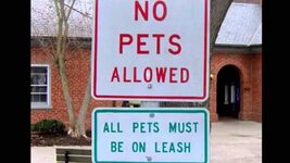 leash-your-pets.jpg