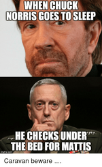 when-chuck-norris-goes-to-sleep-he-checks-under-the-37210106.png