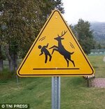 3DD6266C00000578-4271846-Funny_road_signs_from_around_the_world_have_been_r.jpg