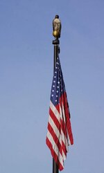 DSC0396195Juvenile95Red95Tailed95Hawk95Flagpole.jpg