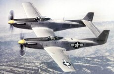 1280px-North_American_XP-82_Twin_Mustang_44-83887.Color.jpg