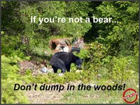 Bear in the woods.jpg
