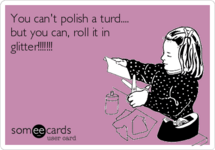 you-cant-polish-a-turd-but-you-can-roll-it-in-glitter-684ab.png