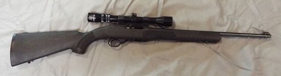Ruger01.jpg