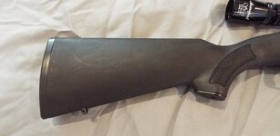 Ruger02.jpg